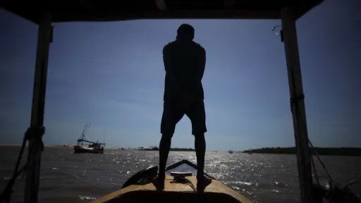 2025 07 25t144315z 1684112178 rc2o9ea885zg rtrmadp 3 brazil mangrove main