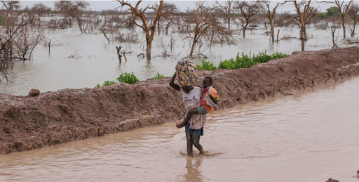 1d59d8ffc418bdbc4d778c1b4e3ead73e53690cad2f61ef9019f2c67a51d8c08