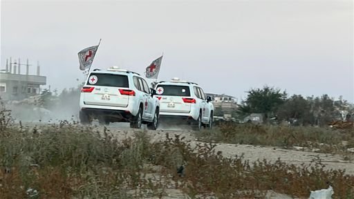 d9c934fab443aec02a59984ee8e6159f8d8c46b160c9a4c58b8d4833254ece24