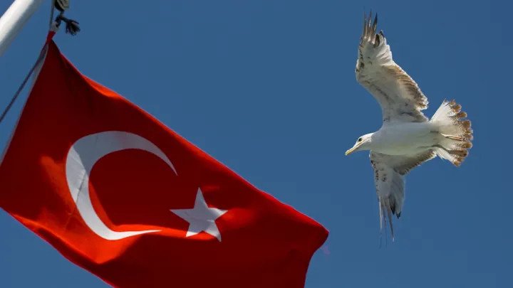 268364d05eeb7cc74a83448bac1aa52f852ad999b49781d4ffc74b62f29bc29d main