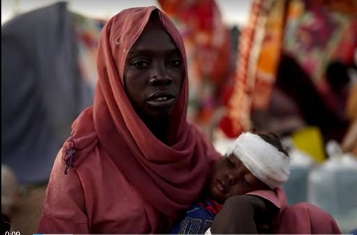 ddb88703b8b1b3f7dc3e565ba0618003f352df096a3df52ca9a779f9fc6c51c3