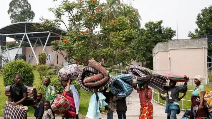 21566120 562d34c3 521f 4829 8ce8 a7c68c9a90b7 480 main