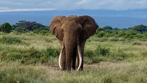 d67eb33ad36a5acd2bd74e60710de7f453e18404535cd24cdeb56b6df1c9be0b