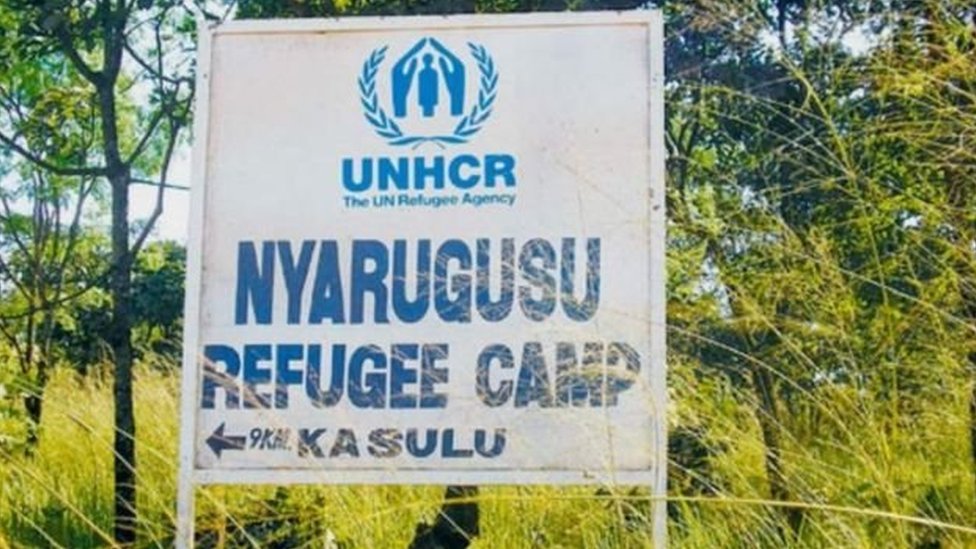 110294936 04483dd3 e725 414f ace8 d5299d2bbb65