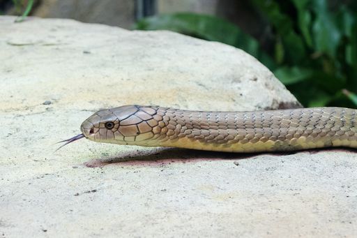 f01f212a40ccd8a45e3f14096c2c22cffffaa02a557f3cee4052386f99472086