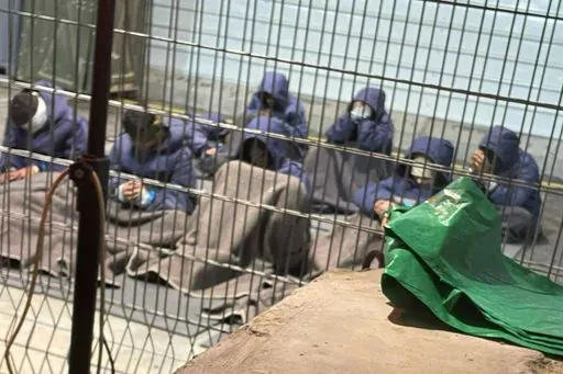 2f5b668be6fe77635036abe320209fa87c3f22644176a2b5bf04e5c3dae12fa0 2