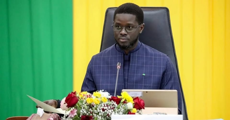 649211986 1535751068127016 2344147188643839714 n