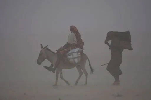 b8a7dd1732799fce36ec6365192a4ace8d97953b512cc3c2060d5382f9813fdb