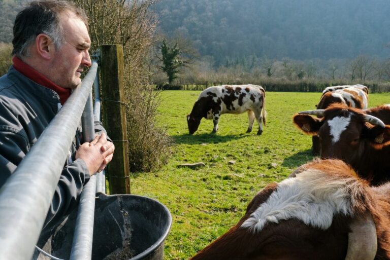 Jocelyn Bertrand bd 09 768x513 1