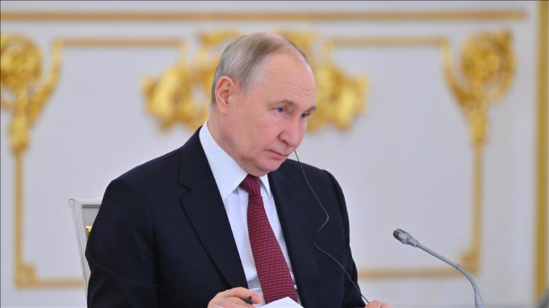 thumbs b c b5f968602bde7693d88c5eec700fc6c8 e1775046550422