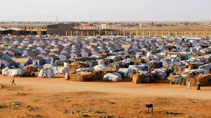 2026 04 16t082921z 1 lynxmpem3f0i9 rtroptp 3 sudan politics elobeid displaced main